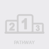 pathway icon grey