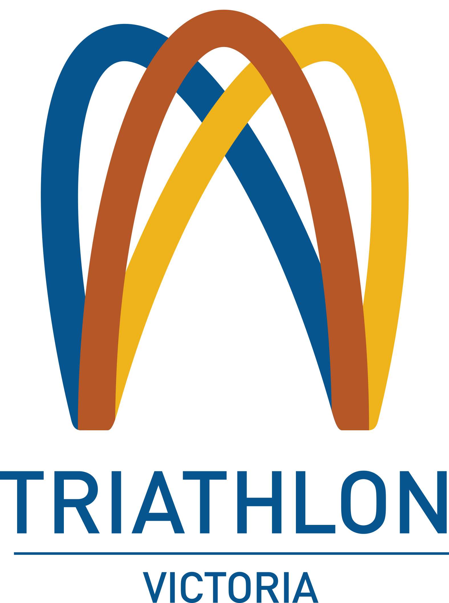 TriathlonVIC logo H